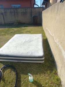 9e7457cf-ef1a-48f5-8001-85a3223b7398