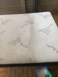 a139351b-ef3d-4d23-bd47-68517f0a591c