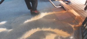 eed8ff67-28f7-4e9b-b584-995a583c521e